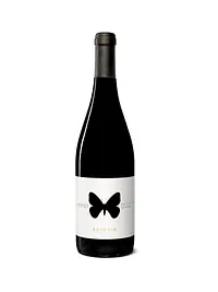 Apollo Montepulciano d'Abruzzo Colline Teramane - Master