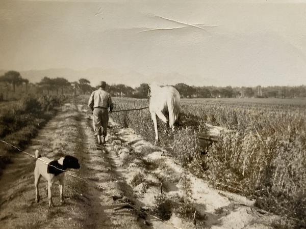 Gallery image 9
