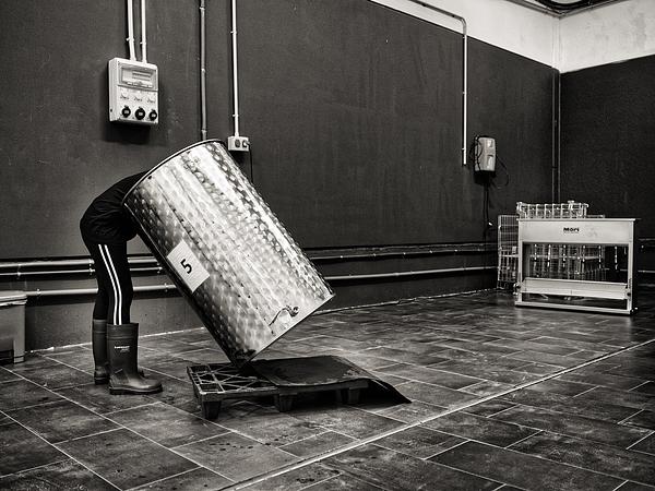 Gallery image 8