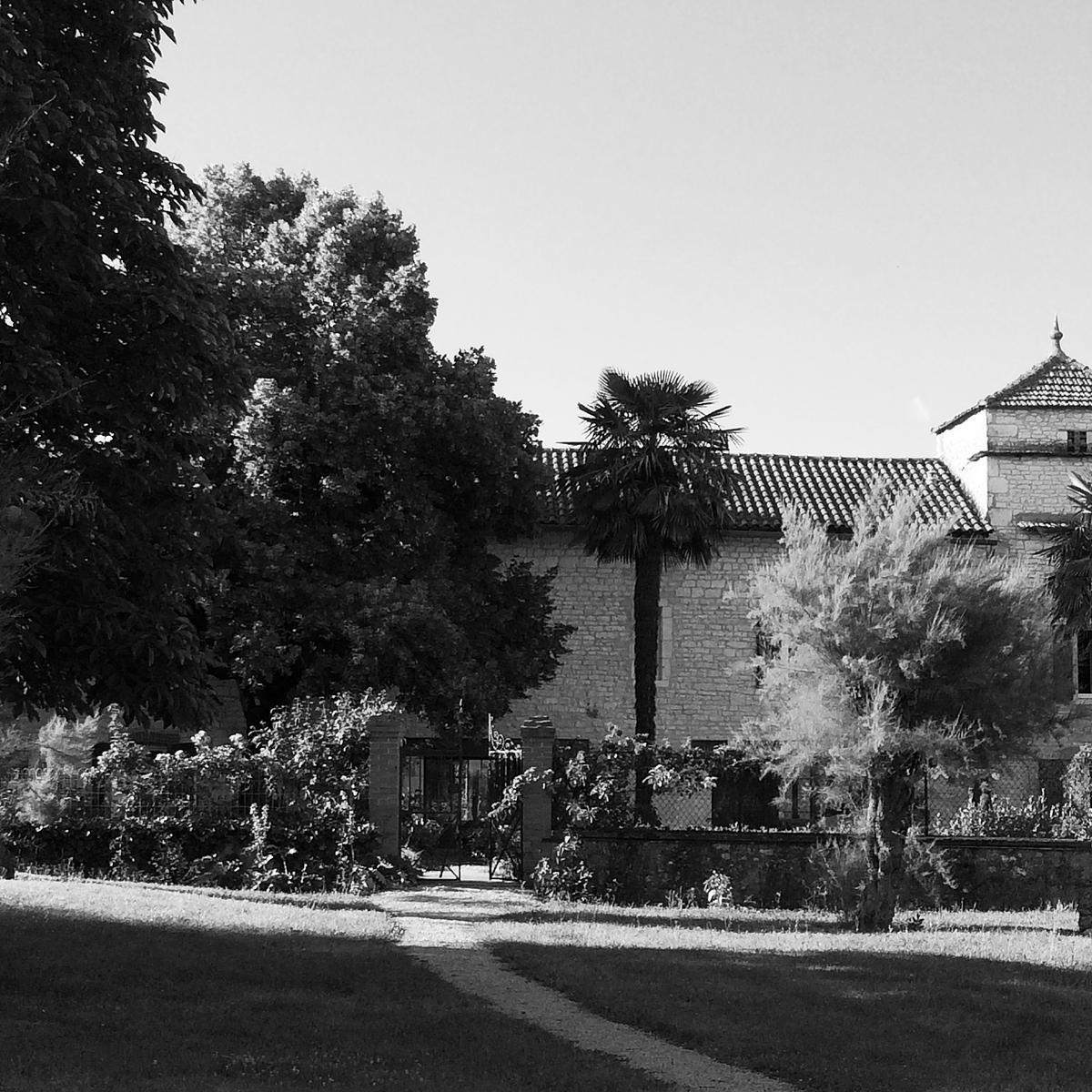 Gallery image 9
