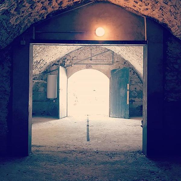 Gallery image 5