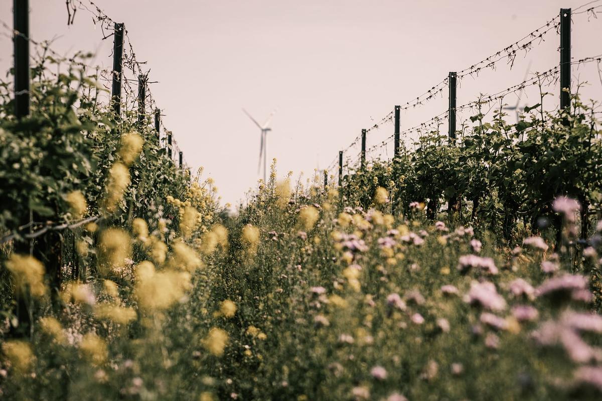 Gallery image 1