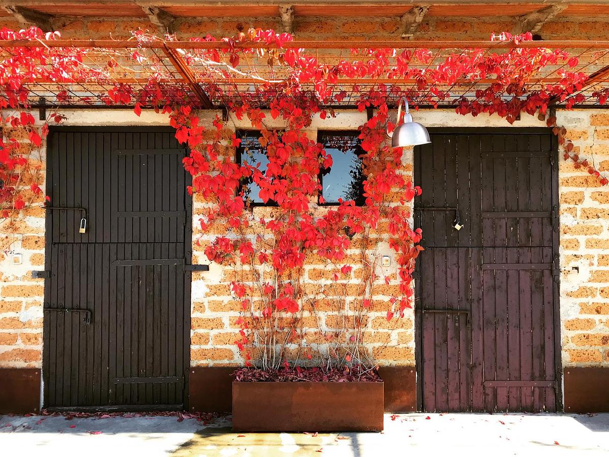 Gallery image 14