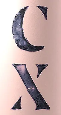 CX Cartoixa Vermell - Master
