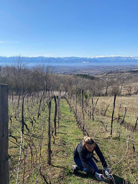 Gallery image 5