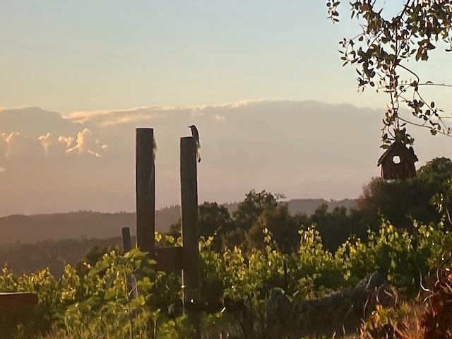 Gallery image 17