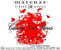 Casilla Las Flores - Master