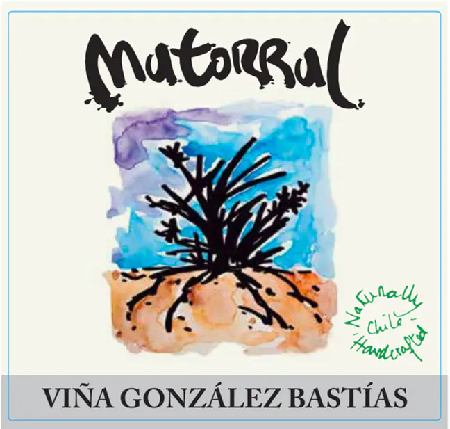Matorral - Master