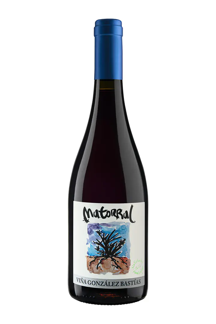 Matorral - Master
