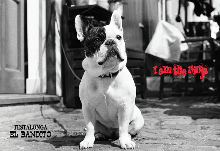 EL BANDITO I Am The Ninja - Master