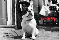 EL BANDITO I Am The Ninja - Master