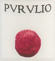 Purulio - Master