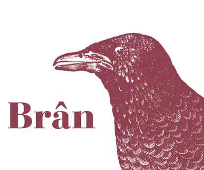 Bran - Master