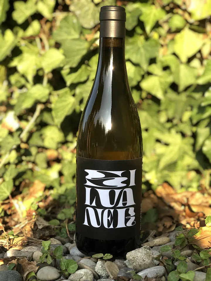 Silvaner - Master