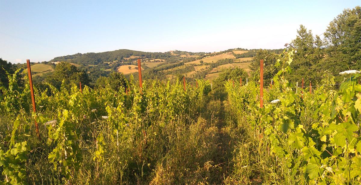 Gallery image 11