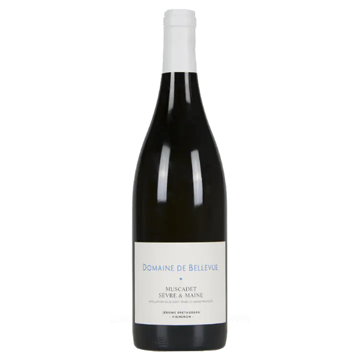 Muscadet Sèvre & Maine - Master