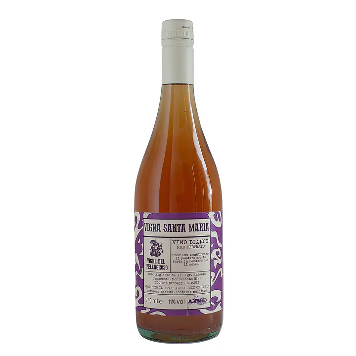 Vigna santa Maria - Master