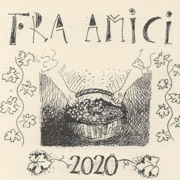 Fra Amici - Master