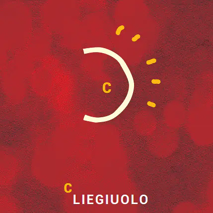 C_liegiuolo - Master