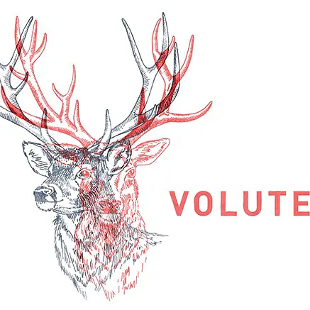 Volute - Master