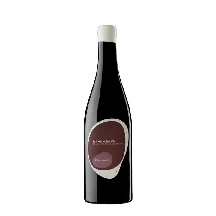 Bastard Negre 2017 - Master