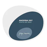 Ancestral Xarel·lo 2017 - Master