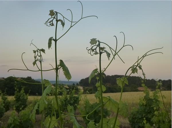 Gallery image 20