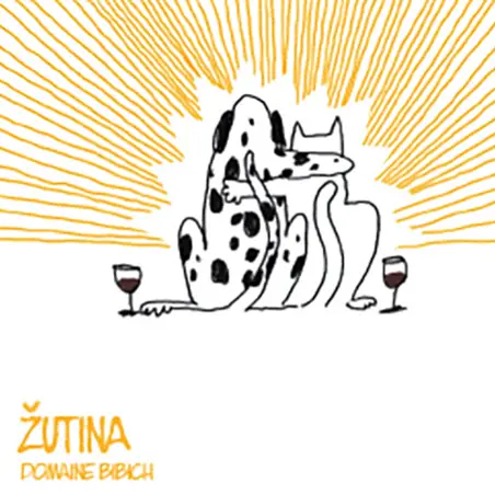 Žutina - Master