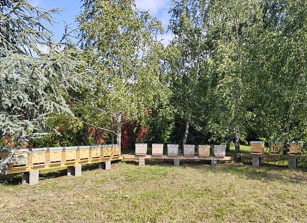 Gallery image 62