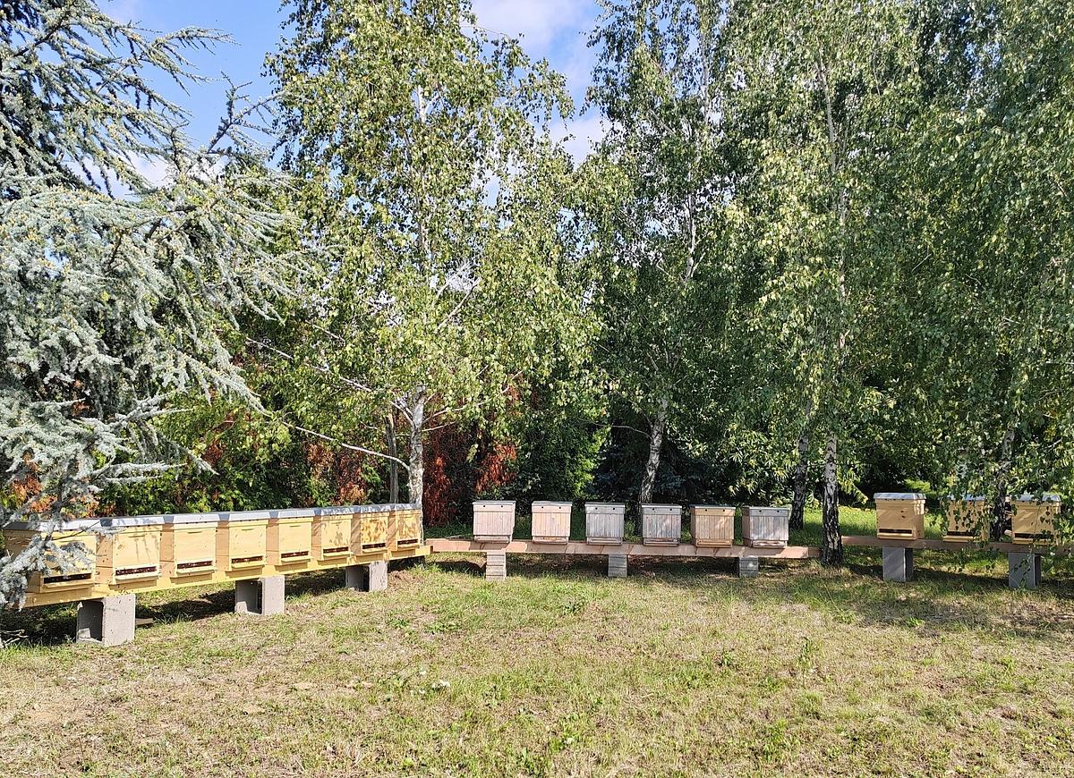 Gallery image 62