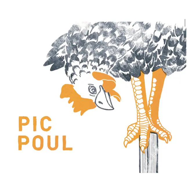 Picpoul - Master