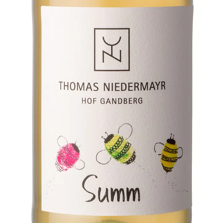 Summ - Master