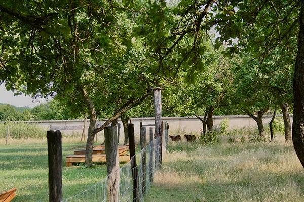Gallery image 17