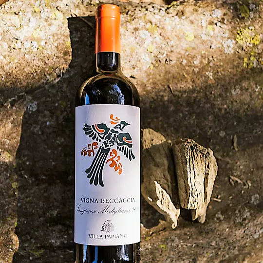 Vigna Beccaccia - Master