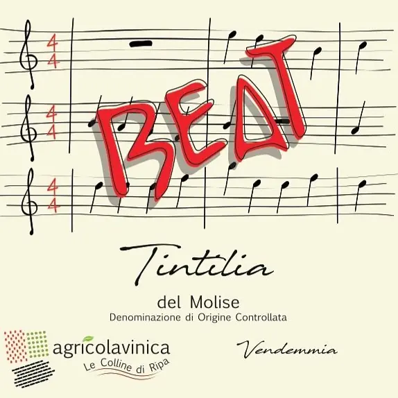 Tintilia BEAT - Master