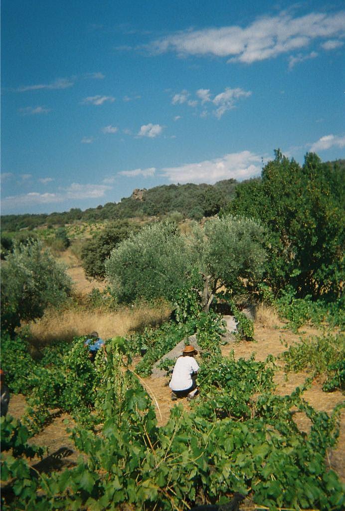Gallery image 7