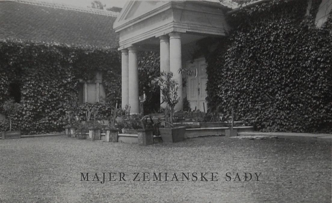 Gallery image 6
