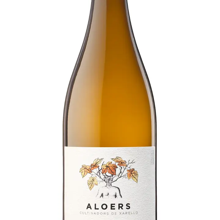 Aloers - Master
