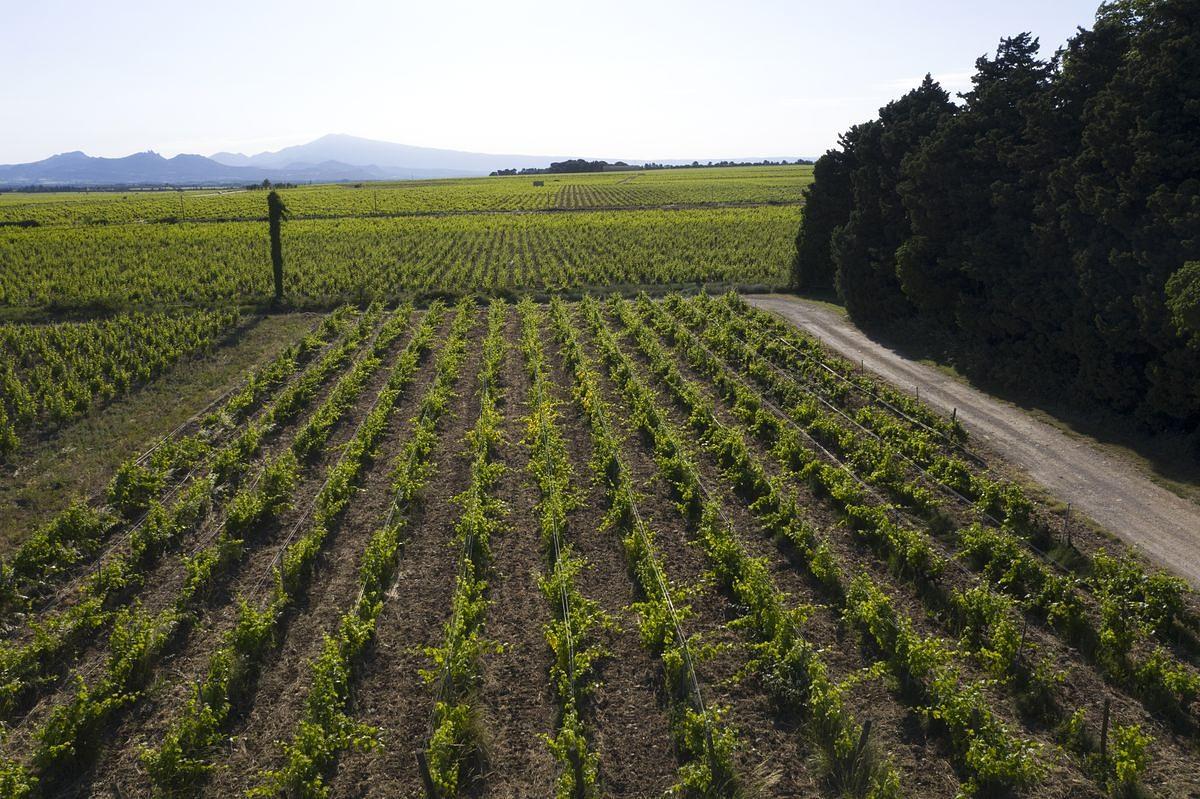 Gallery image 10