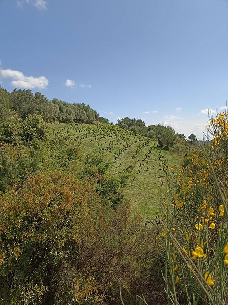 Gallery image 1