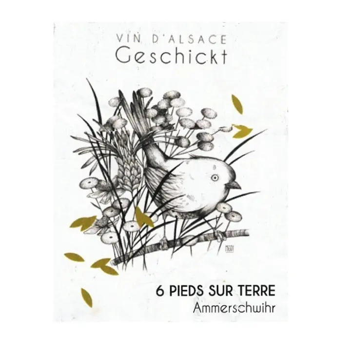6 Pieds Sur Terre - Master
