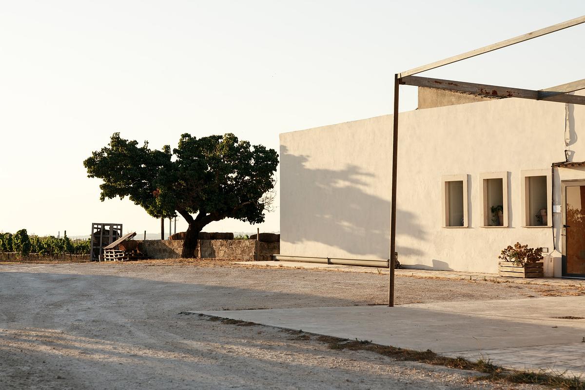 Gallery image 6