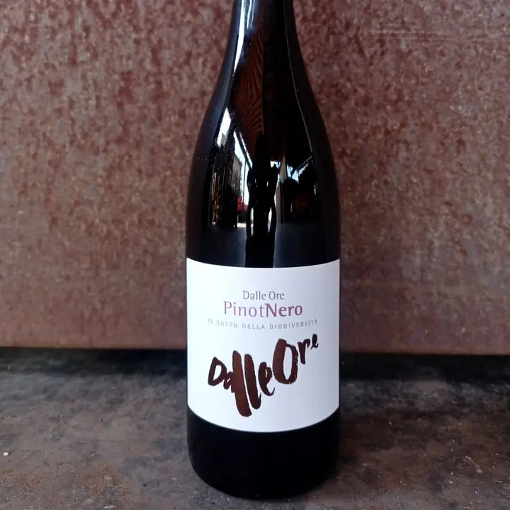 Pinot Nero - Master