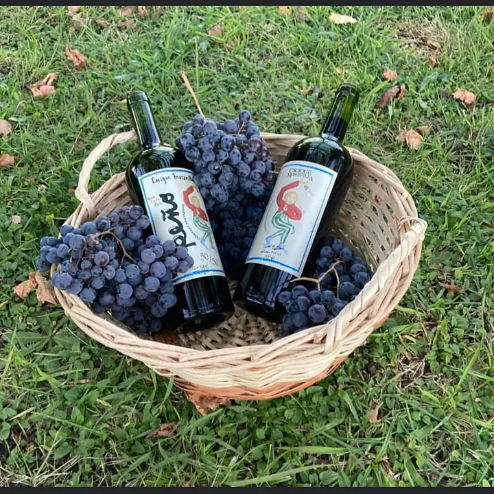 Cabernet Sauvignon 2022 - Master