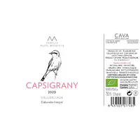 AUS Capsigrany - Master