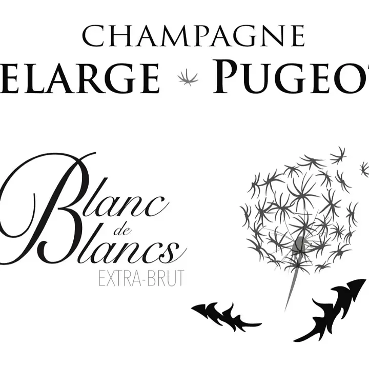 Blanc de Blancs - Master