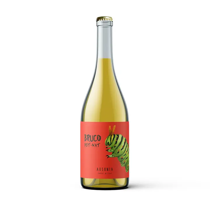 Bruco Colli Aprutini Bianco Frizzante IGP - Master