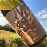 divergent vine, Malbec, Clarksburg - Master
