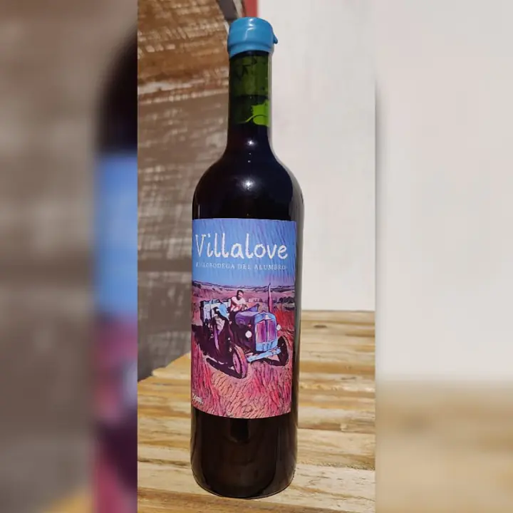 Villalove - Master