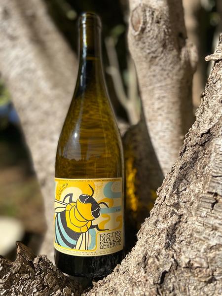 Gallery image 8